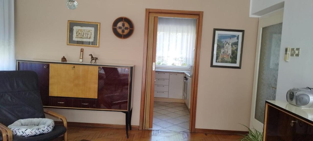 7 Flower Street Apartment Sempeter pri Gorici Dış mekan fotoğraf
