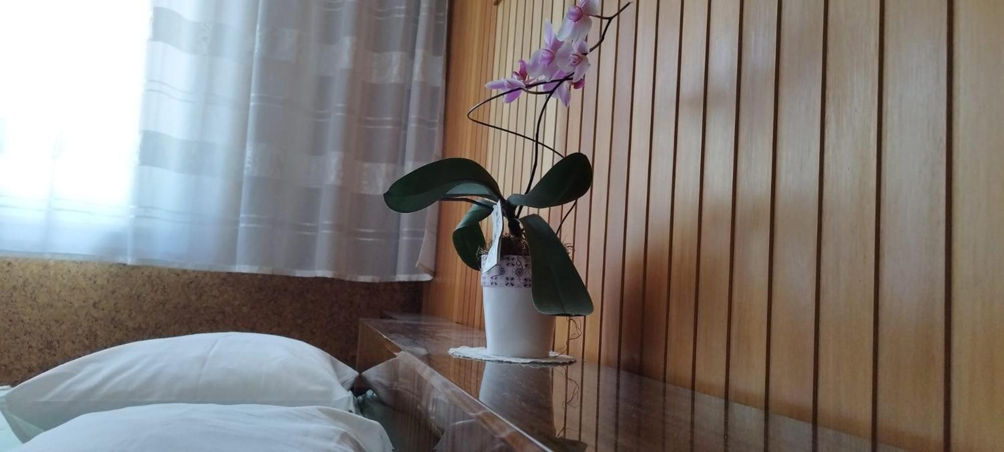 7 Flower Street Apartment Sempeter pri Gorici Dış mekan fotoğraf